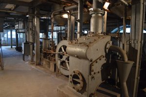 DSC_0362