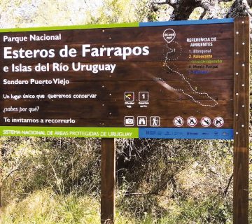 ESTEROS DE FARRAPOS 10