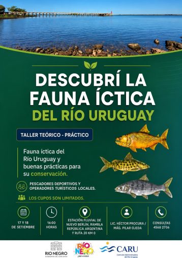 ¡Descubrí la fauna íctica del Río Uruguay!