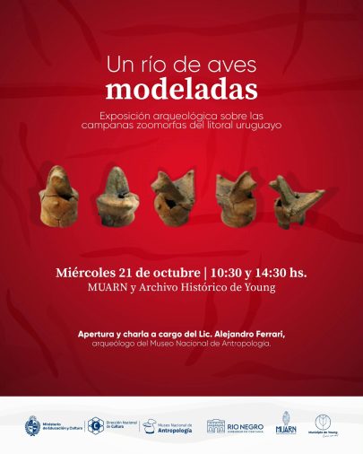 Un río de aves modeladas – Young