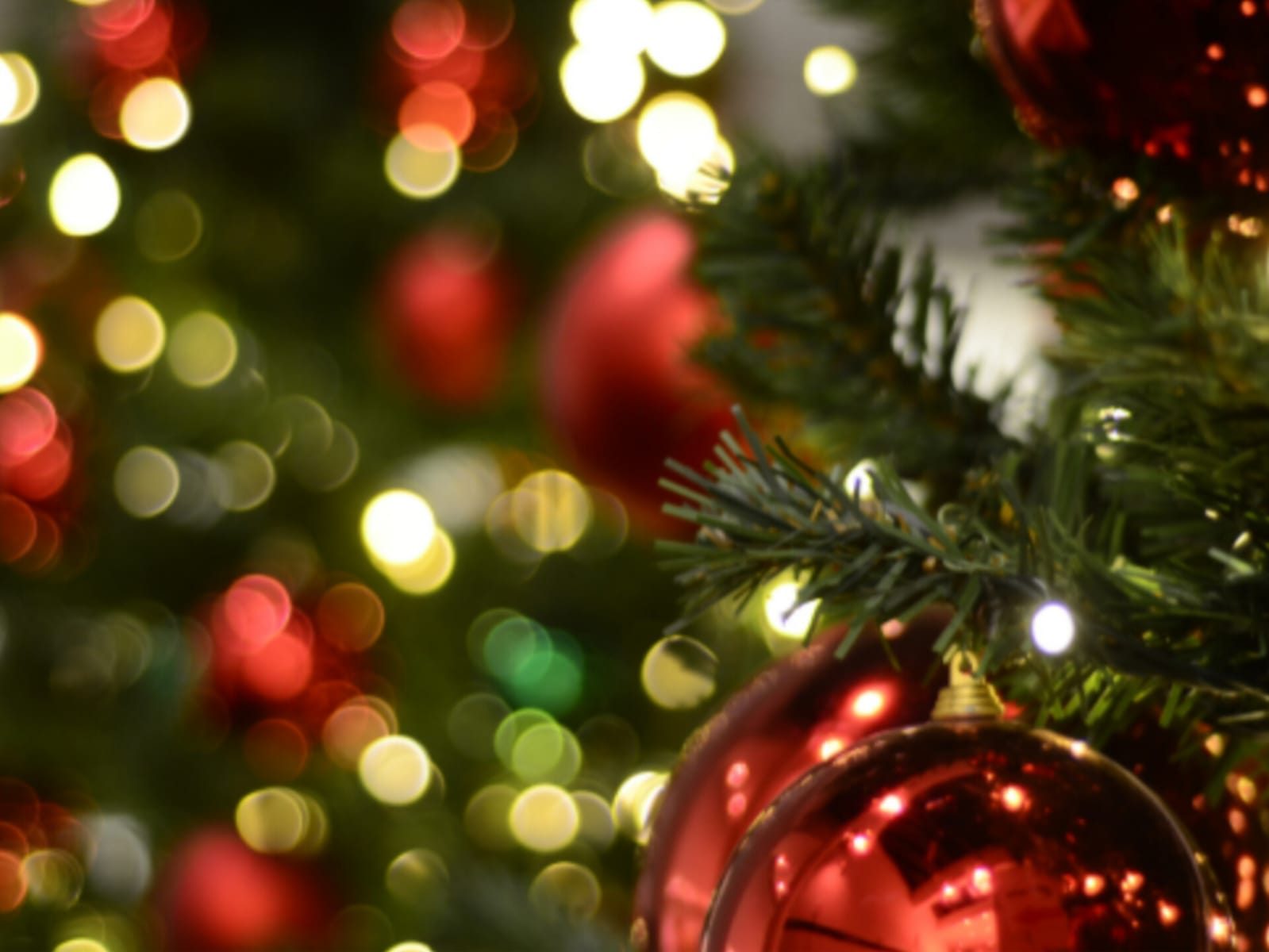 Fray Bentos vivirá una nueva edición de "Vive Navidad" con feria, gastronomía y espectáculos