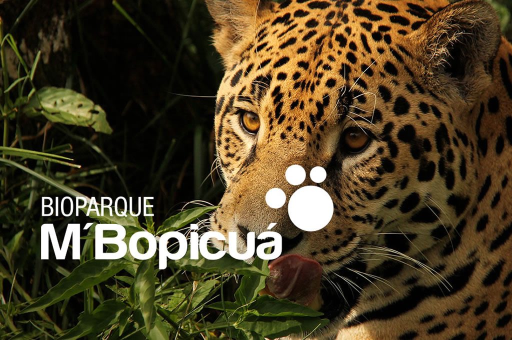Visitas guiadas al Bioparque M'Bopicuá